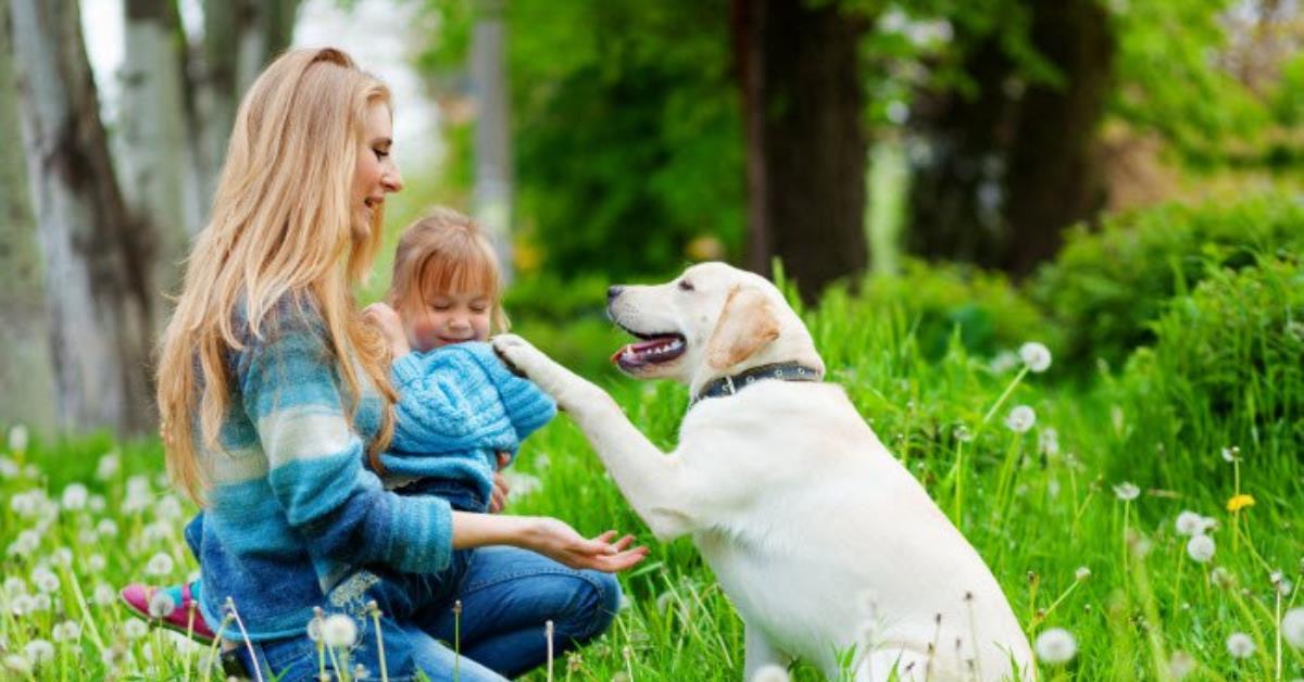 Más que una mascota: Historia de una amistad verdadera