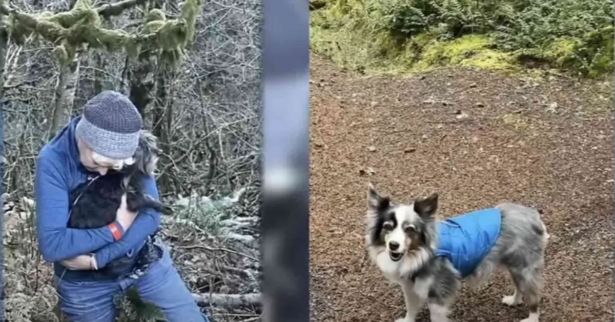 Gravemente herido, un hombre se reúne con su perro desaparecido después de que un accidente automovilístico los separara.