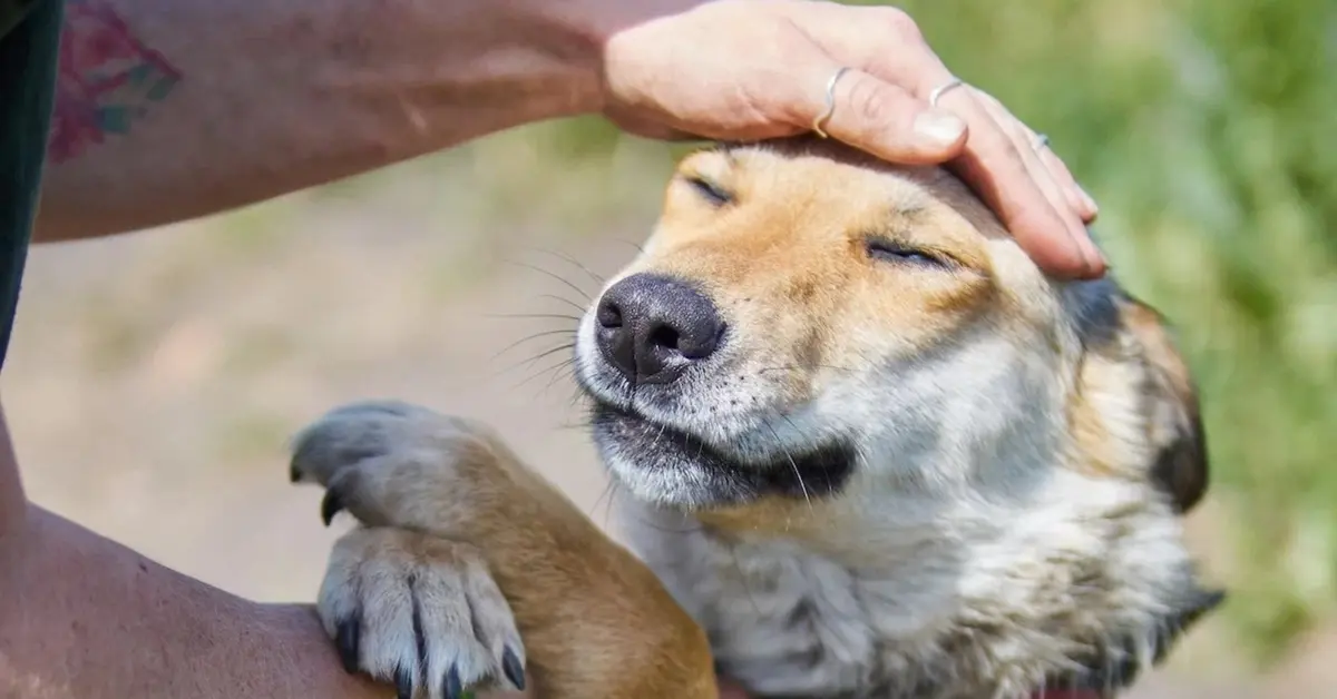 Historia de Luna: del dolor a la felicidad